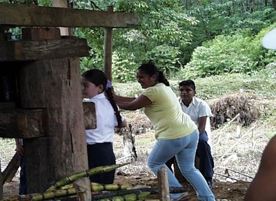 Traditional Sugarcane Mill "Don Carmen"