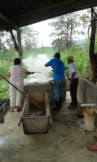 Traditional Sugarcane Mill "Don Carmen"