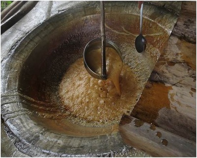 Traditional Sugarcane Mill "Don Carmen"