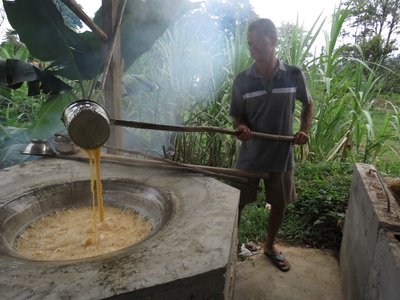 Traditional Sugarcane Mill "Don Carmen"
