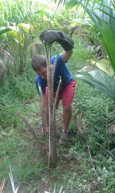 Finca Biodiversa Rancho Verde