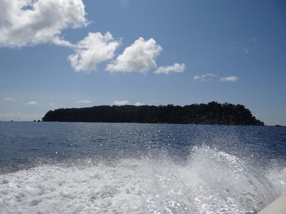 Snorkeling & Diving at Caño Island